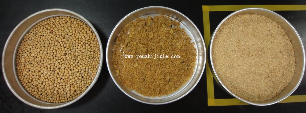 從左到右分別是：大豆、經(jīng)過(guò)膨化處理還未浸出的大豆料胚、豆粕