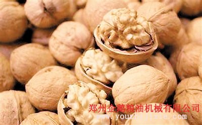 核桃榨油成套設(shè)備交鑰匙工程(圖1) 核tao