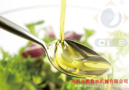 核桃榨油成套設(shè)備交鑰匙工程(圖5) 核桃榨油成套設(shè)備交鑰匙工程(圖5)