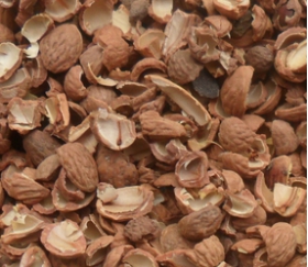 核桃深加工項(xiàng)目-核桃油設(shè)備生產(chǎn)商鄭州企鵝糧油(圖3)