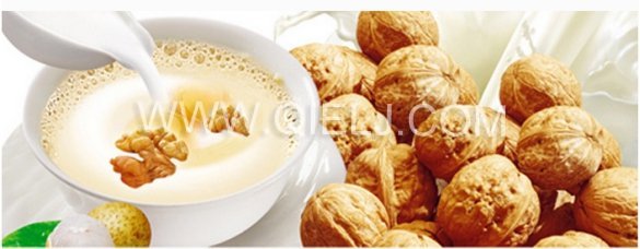 核桃深加工項(xiàng)目-核桃油設(shè)備生產(chǎn)商鄭州企鵝糧油(圖8)