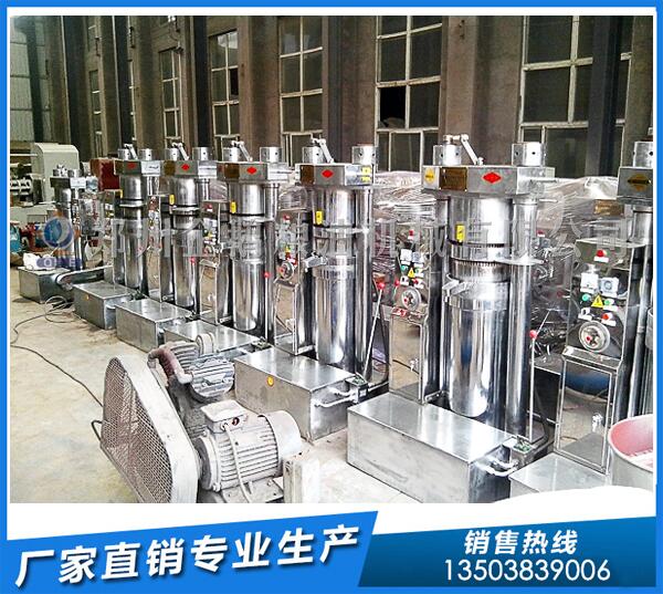 日產(chǎn)1-3噸核桃油的設(shè)備多少錢一套?(圖1) 核桃油設(shè)備