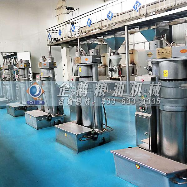 核桃油加工設(shè)備